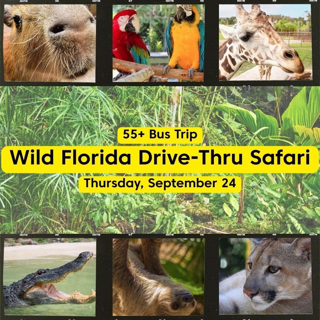 Florida Wild